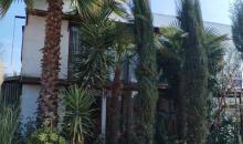FRONTIS DE LA CASA