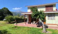 Vista posterior de la casa. Amplio patio con pasto, piscina y asadera