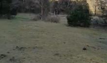 Se vende Terreno de 5.000 mts 2, a orilla camino,en sector El Manzo, Río Puelo, comuna de Cochamó, región de Los Lagos, Chile.  Excelente oportunidad de negocio, en un lugar privilegiado con hermosas vistas a cerros y montañas, a 100 metros aproximadamente se encuentra el río Frío o Manzo, afluente del río Puelo que desemboca en el estuario del Reloncavi.  Siendo un paraíso para los amantes de la pesca con mosca.