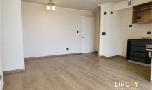 Amplio living comedor