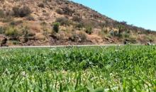 Vista desde la sepultura