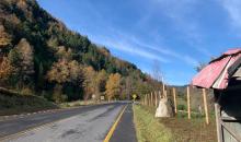 RUTA T 203