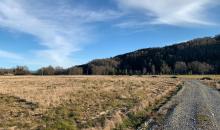 PROYECTO CUENTA CON RESERVA ECOLOGICA