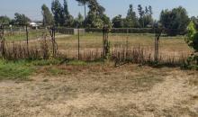 terreno plano