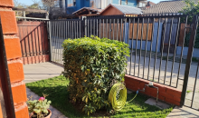 Antejardín