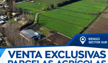 Venta de parcelas agrícolas de 5.000 m² en Rengo, Loteo Los Álamos