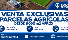 Info JMG