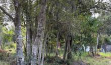 Parcela 5.000 m² en Pucón con cerros al fondo