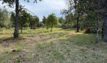 Terreno plano de la parcela