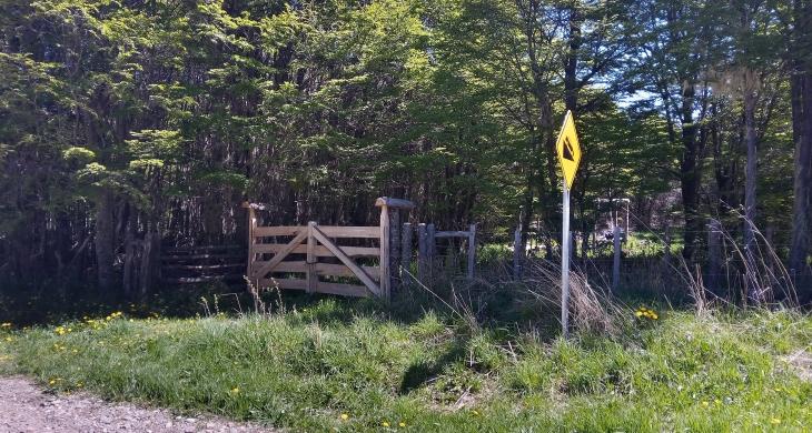 Entrada hacia las hectáreas de la cordonada Cerro Galera por sendero paso Triana.