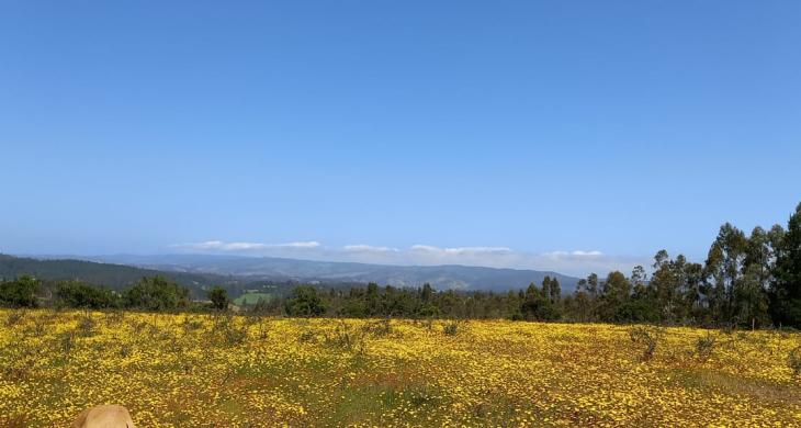 Esta vista hermosa, no la Olvidará