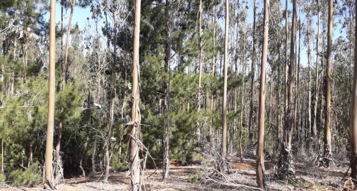 Parcelas cercanas con una vista Maravillosa