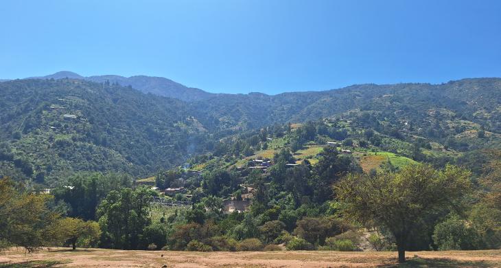 Sector dentro de la reserva de la biósfera La Campana Peñuelas