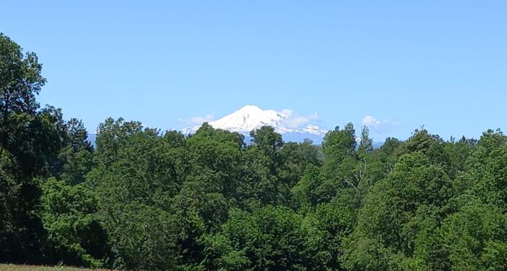 vista al volcan