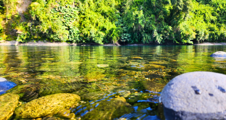 Foto Parcela con salida al rio