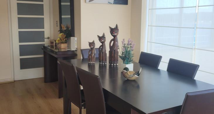 living comedor