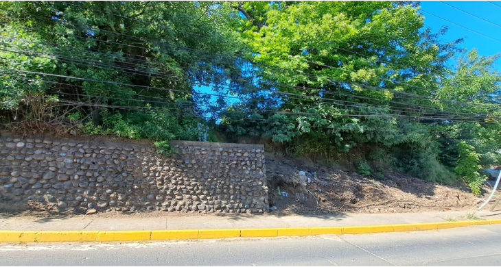 FRENTE DEL SITIO 