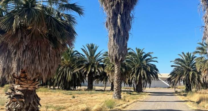 Parcelas industriales en venta en Lampa, terrenos de 5000 m² en sector Lo Echevers con conectividad estratégica.