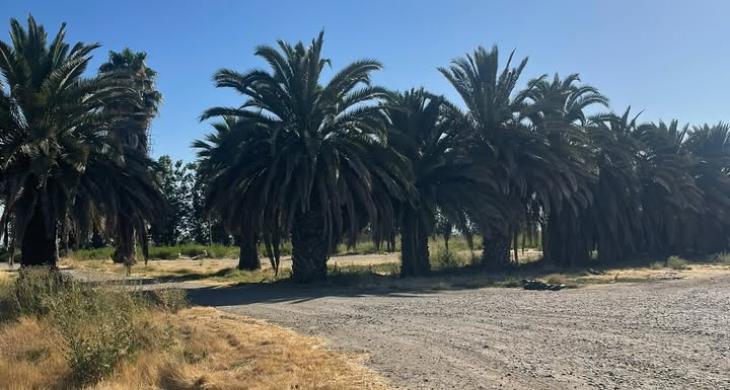 Parcelas industriales en venta en Lampa, terrenos de 5000 m² en sector Lo Echevers con conectividad estratégica.