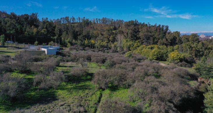 Terreno en venta en Talca, 5200 m² en Cerro de la Virgen con vistas a la cordillera e ideal para proyectos habitacionales.