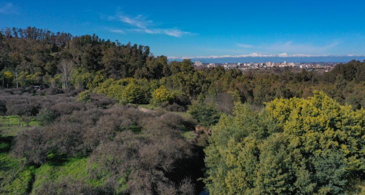Terreno en venta en Talca, 5200 m² en Cerro de la Virgen con vistas a la cordillera e ideal para proyectos habitacionales.