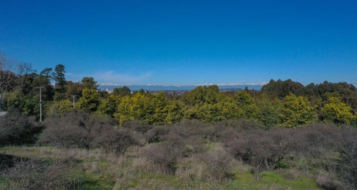 Terreno en venta en Talca, 5200 m² en Cerro de la Virgen con vistas a la cordillera e ideal para proyectos habitacionales.