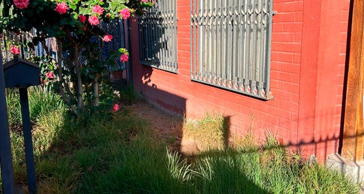 ENTRADA