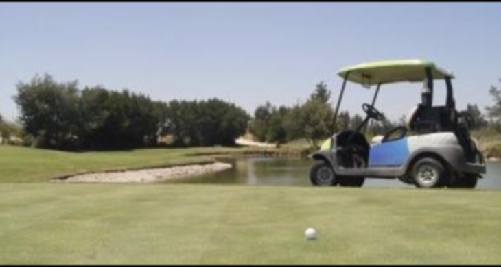 CARRITO GOLF