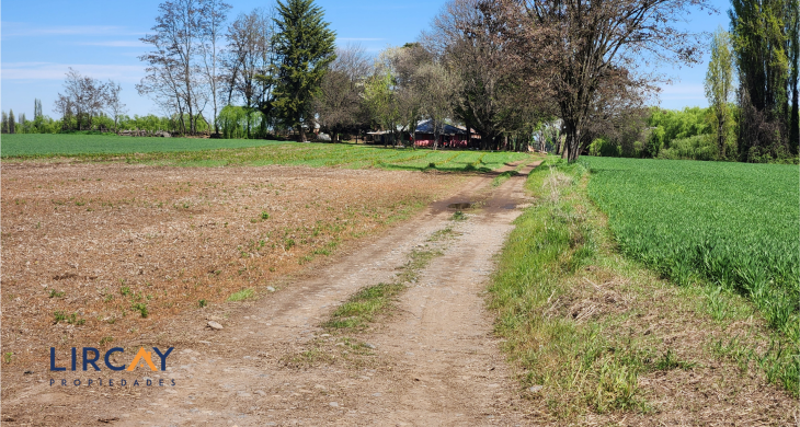 34 hectáreas del tipo "trumado"