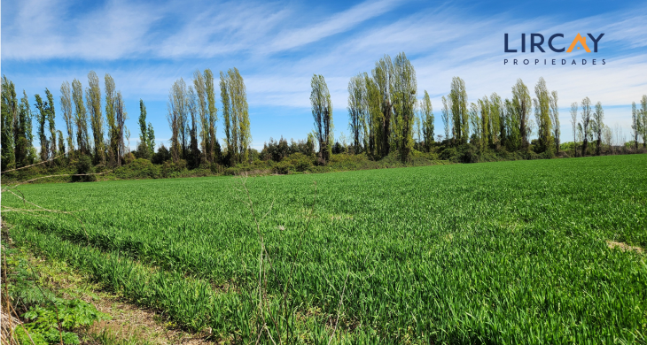 también tiene una casa para inquilino y su familia
