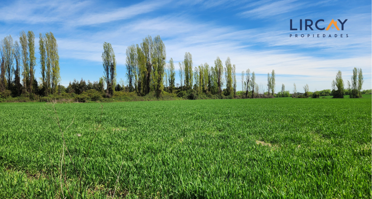 con suministro de agua a través de planta Agua Potable Rural APR