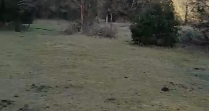 Se vende Terreno de 5.000 mts 2, a orilla camino,en sector El Manzo, Río Puelo, comuna de Cochamó, región de Los Lagos, Chile.  Excelente oportunidad de negocio, en un lugar privilegiado con hermosas vistas a cerros y montañas, a 100 metros aproximadamente se encuentra el río Frío o Manzo, afluente del río Puelo que desemboca en el estuario del Reloncavi.  Siendo un paraíso para los amantes de la pesca con mosca.