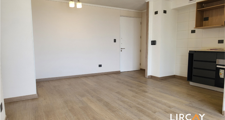 Amplio living comedor