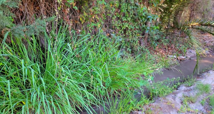 Canal de regadío al interior de la propiedad