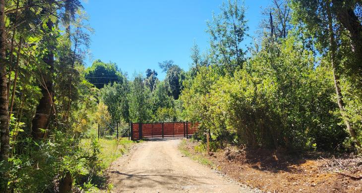 camino ingreso a propiedad.