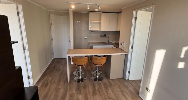 Living comedor y cocina americana