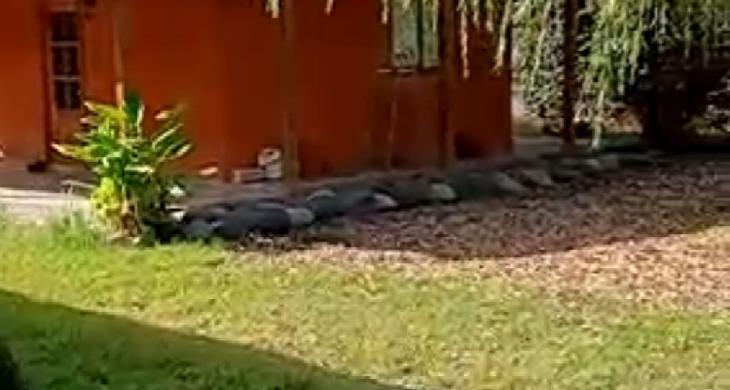 Una cabaña adicional con dos grandes habitaciones y un baño completo.
