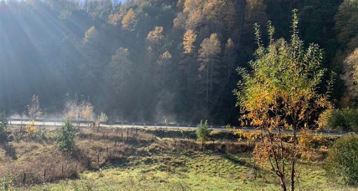 ORILLA CAMINO