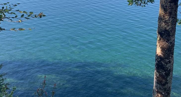 PRECIOSA VISTA LAGO CALAFQUEN