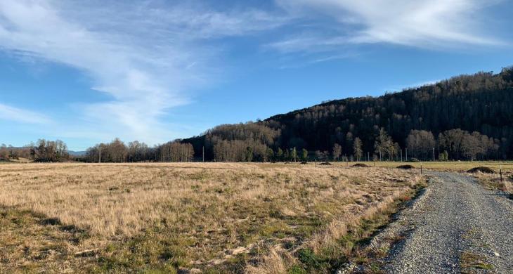 PROYECTO CUENTA CON RESERVA ECOLOGICA
