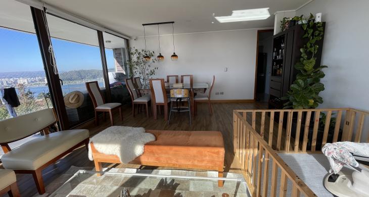 Living comedor