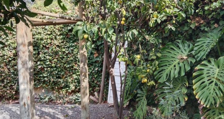 Jardin 3