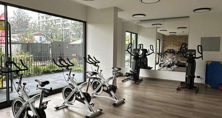 gimnasio