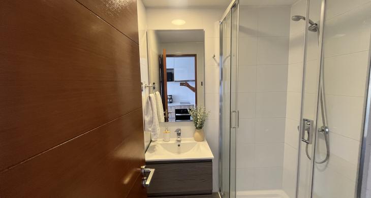 Shower door 