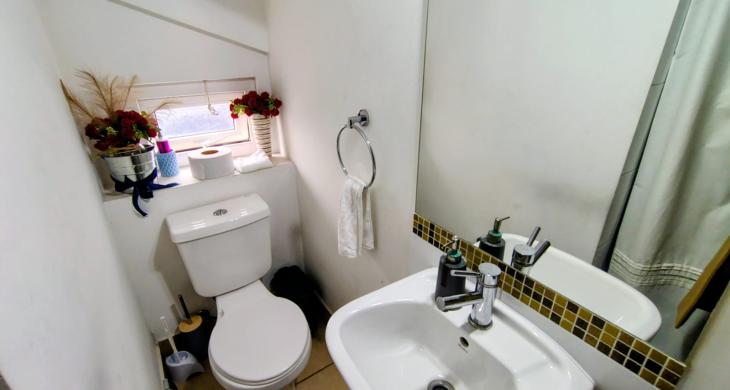 baño visitas