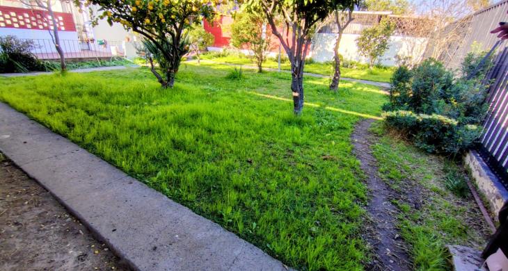 jardin