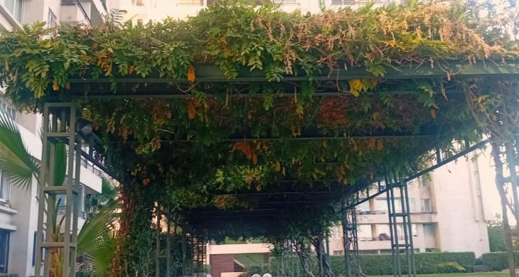 ÁREAS VERDES DEL EDIFICIO