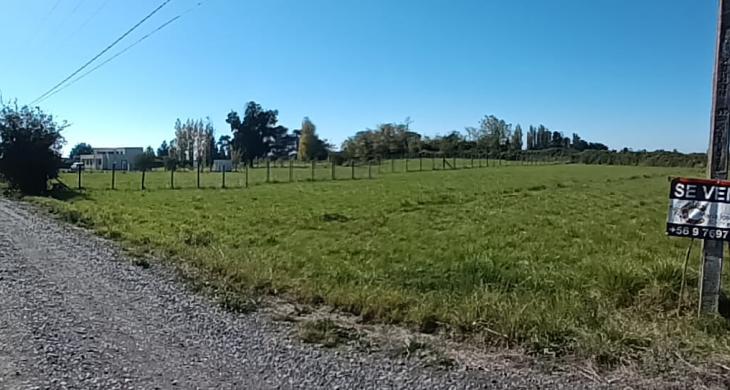 HERMOSA PARCELA, TERRENO PLANO 