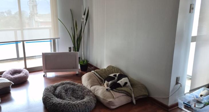 DORMITORIO PRINCIPAL