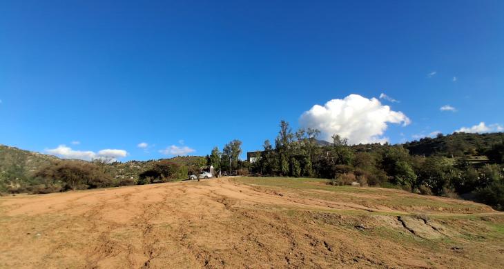 En la parcela hay extensa área sin árboles dado que antiguamente se practicaba la trilla